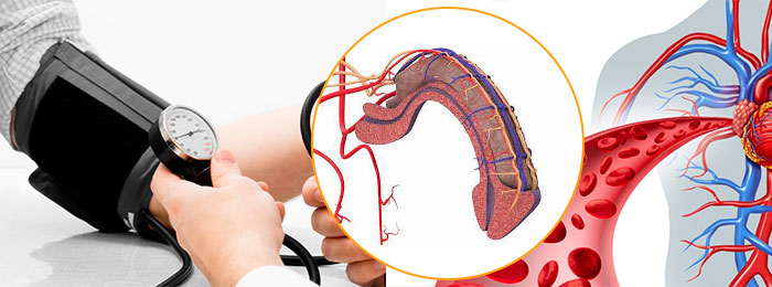 高血壓導致陽痿